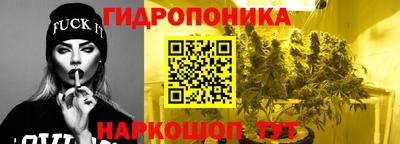 молекула духа Ливны