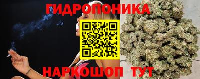 молекула духа Ливны